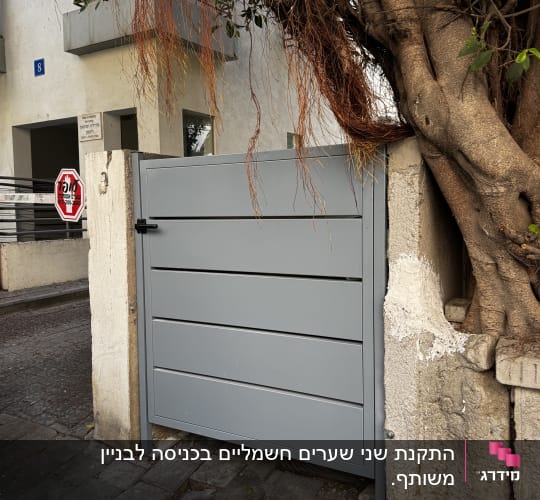 שער מתכת אפור ליד עץ גדול